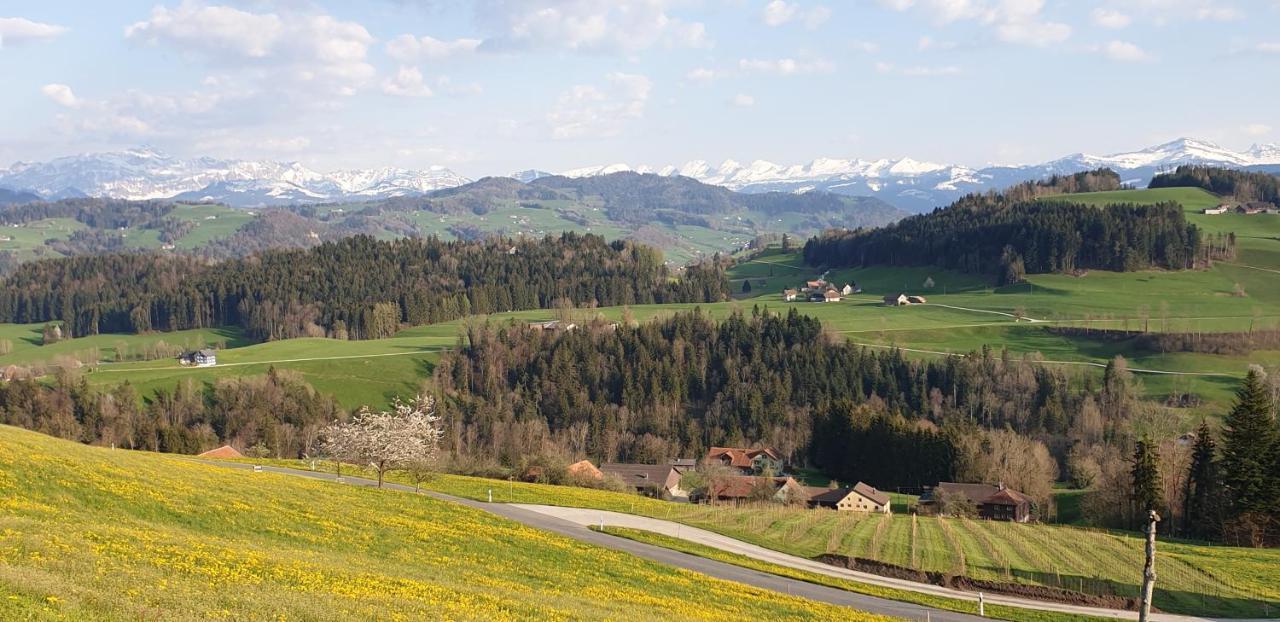 Bnb Alpenblick Lütisburg Екстериор снимка